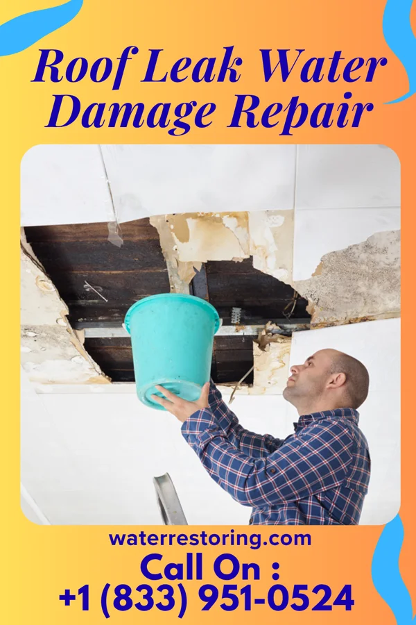 Roof Leak Water Damage Repair in Garza-Salinas II, TX
